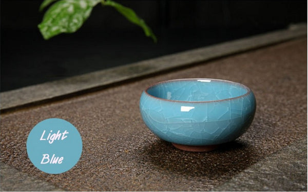 Mini Round Juicy Plants Flowers Vase